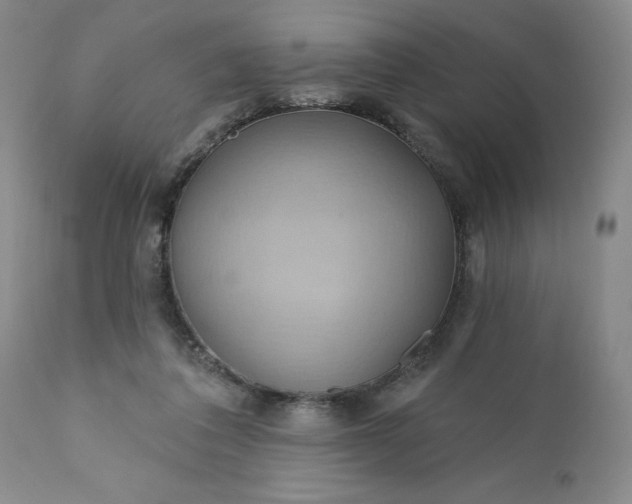 X0000110680308200906261327