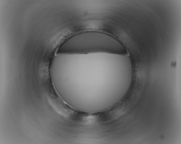 X0000110680312200906261327