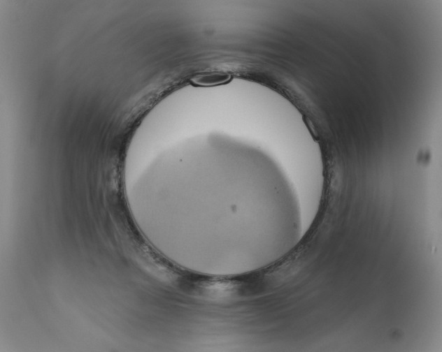 X0000110680313200906261327