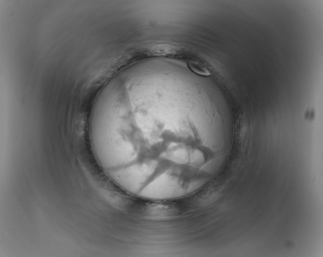 X0000110680315200906261327