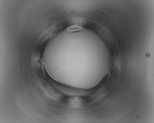 X0000110680316200906261327