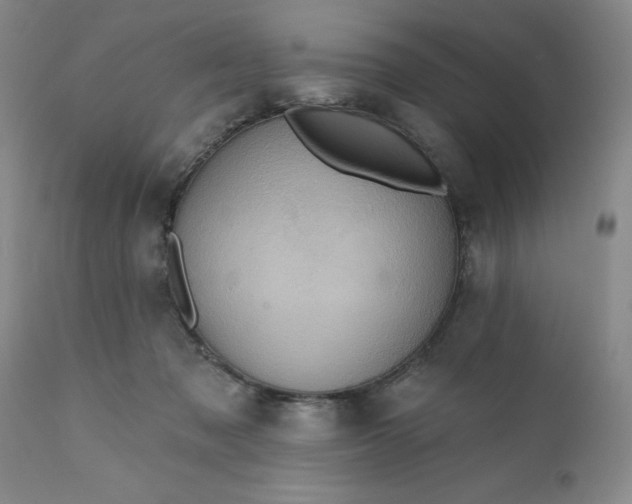 X0000110680317200906261327