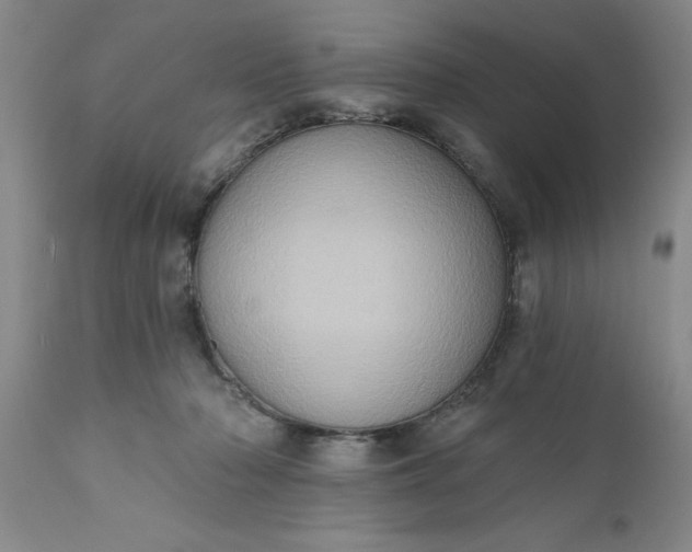 X0000110680318200906261327