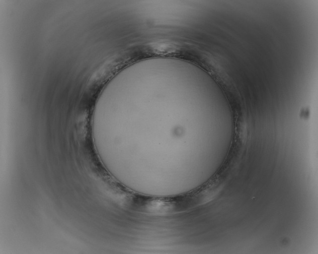 X0000110680319200906261327