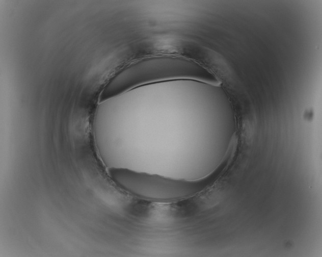 X0000110680320200906261327