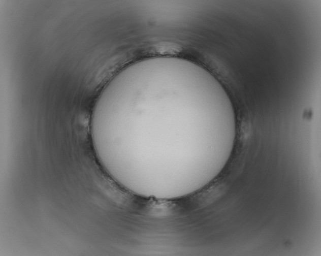 X0000110680321200906261327