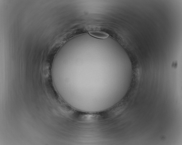 X0000110680323200906261327