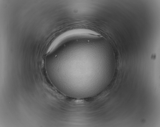 X0000110680324200906261327