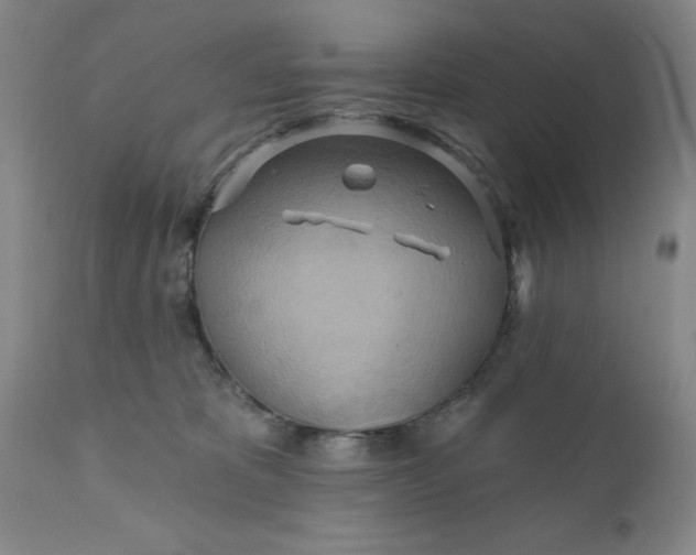 X0000110680325200906261327