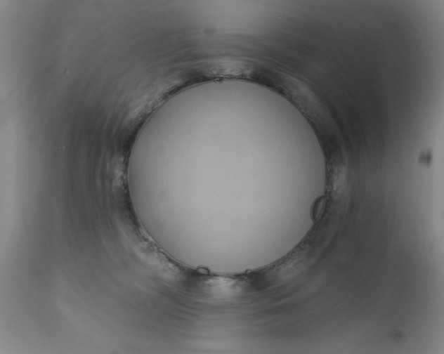 X0000110680326200906261327