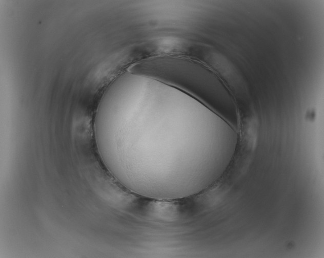 X0000110680327200906261326