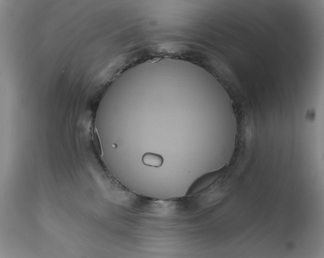 X0000110680328200906261326