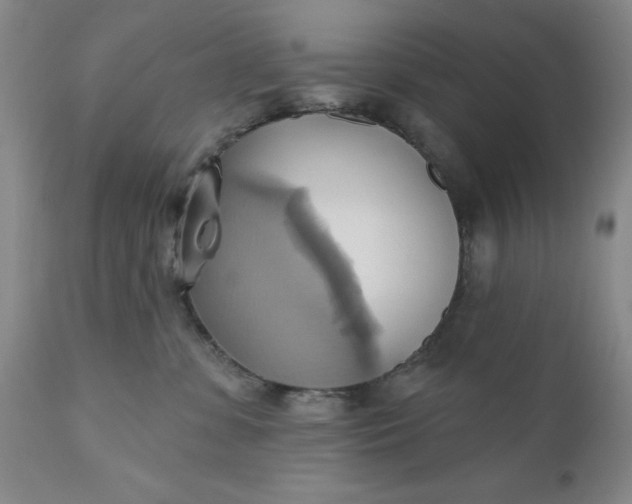 X0000110680331200906261326