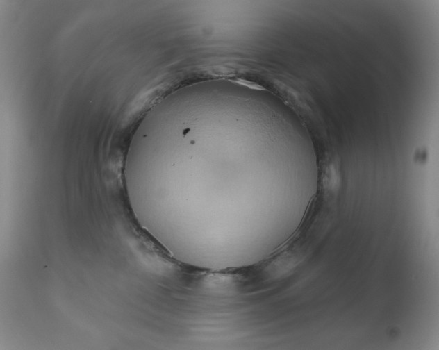 X0000110680332200906261326