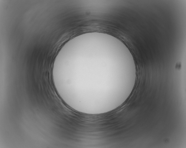 X0000110680333200906261326