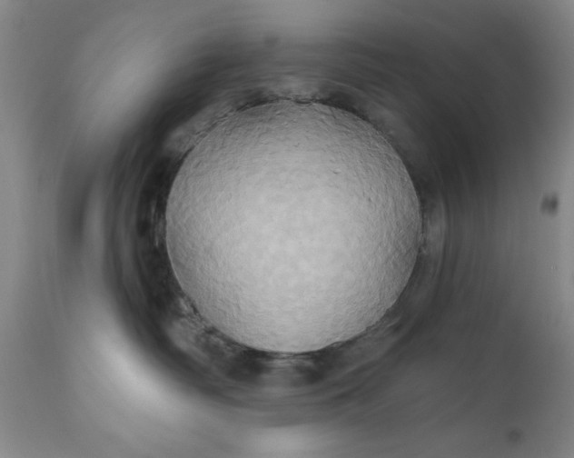 X0000110680334200906261326