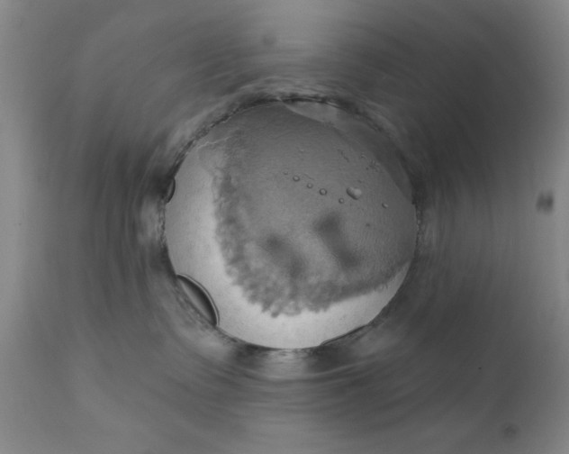 X0000110680335200906261326