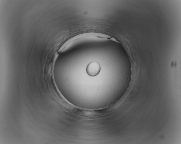 X0000110680336200906261326