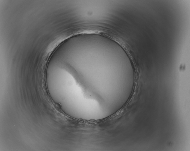 X0000110680337200906261325