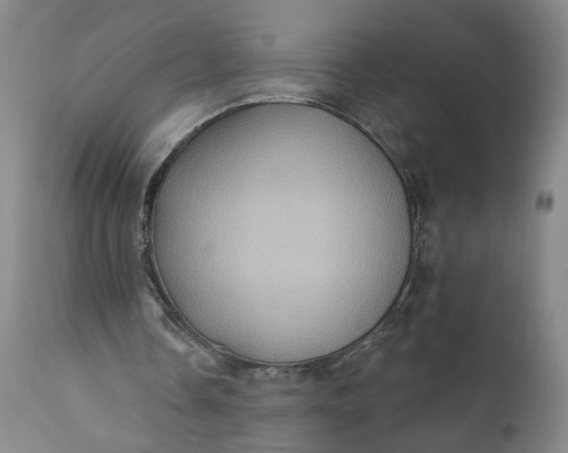 X0000110680338200906261325