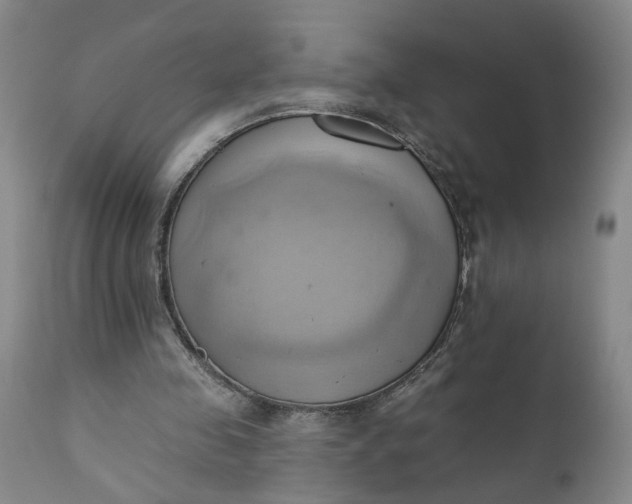 X0000110680341200906261325