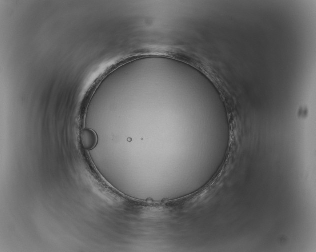 X0000110680342200906261326