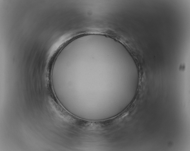 X0000110680343200906261326