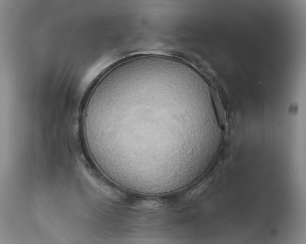 X0000110680344200906261326