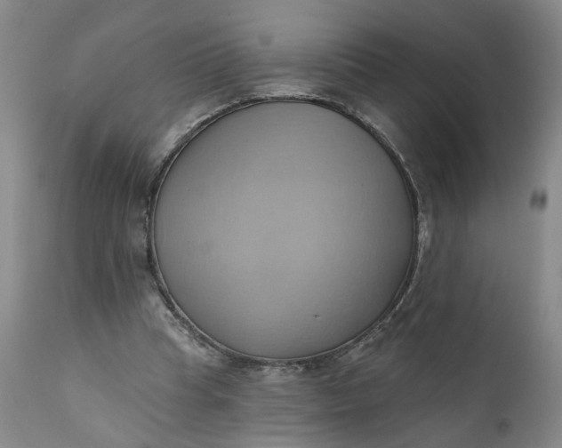 X0000110680345200906261326