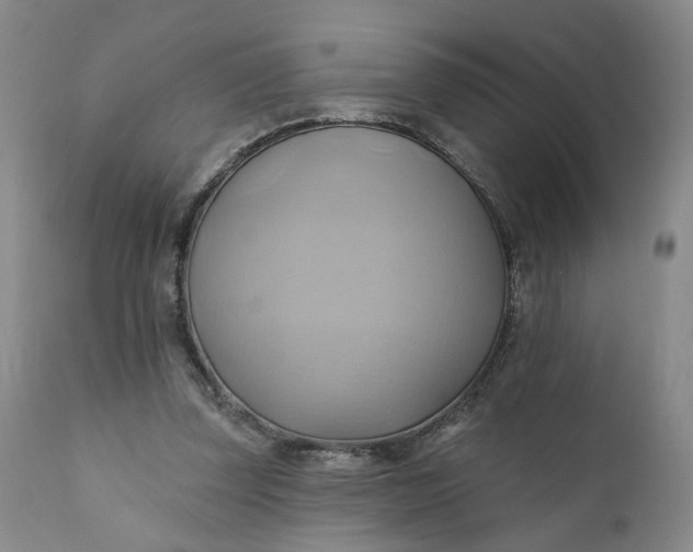 X0000110680347200906261326