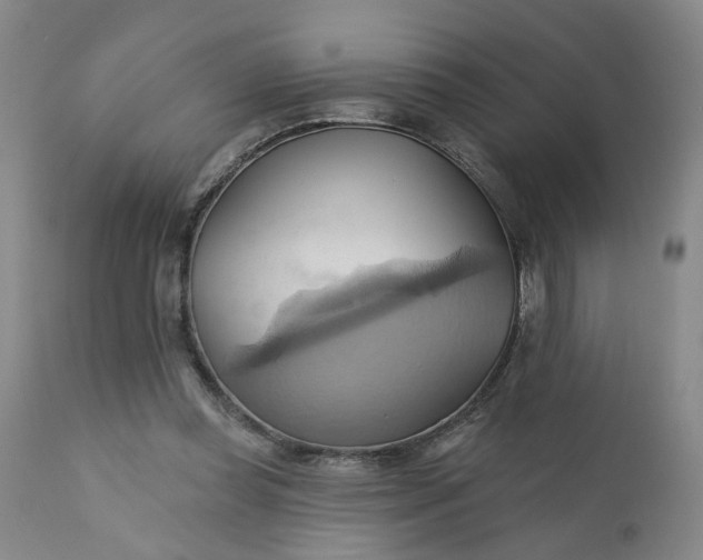 X0000110680349200906261326