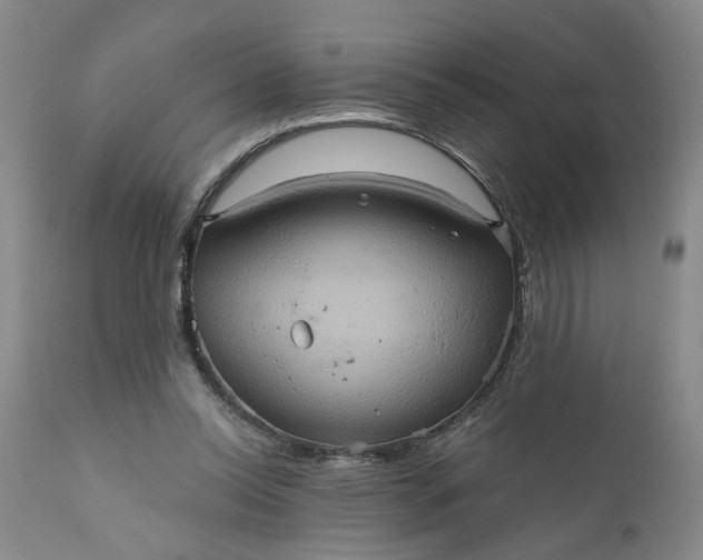 X0000110680350200906261326