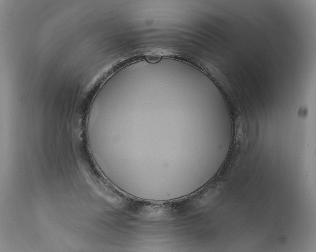 X0000110680351200906261326