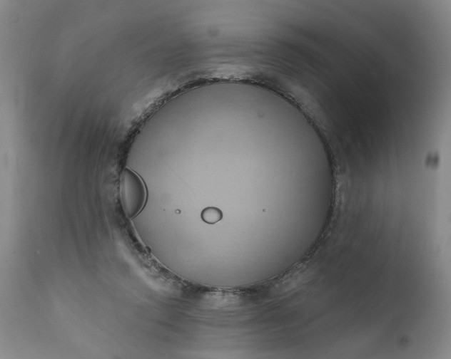 X0000110680354200906261326