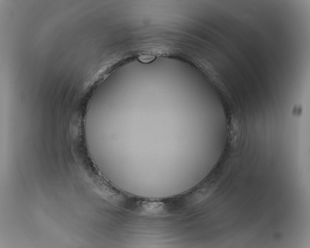 X0000110680355200906261326