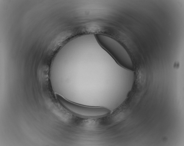 X0000110680356200906261326