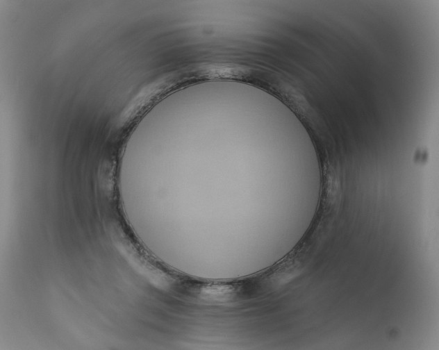 X0000110680357200906261326