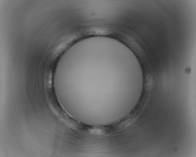 X0000110680358200906261326