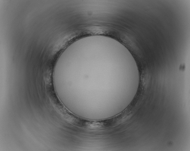 X0000110680359200906261326