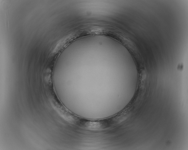 X0000110680361200906261326