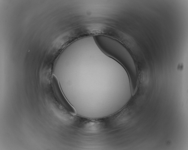 X0000110680364200906261326