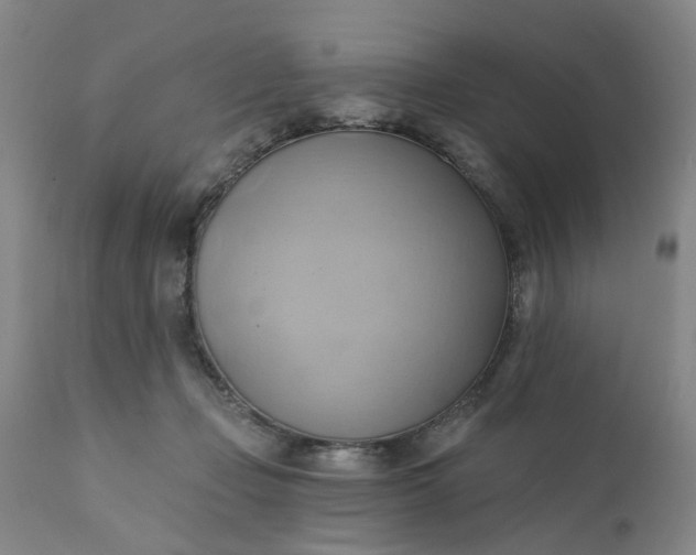 X0000110680365200906261326