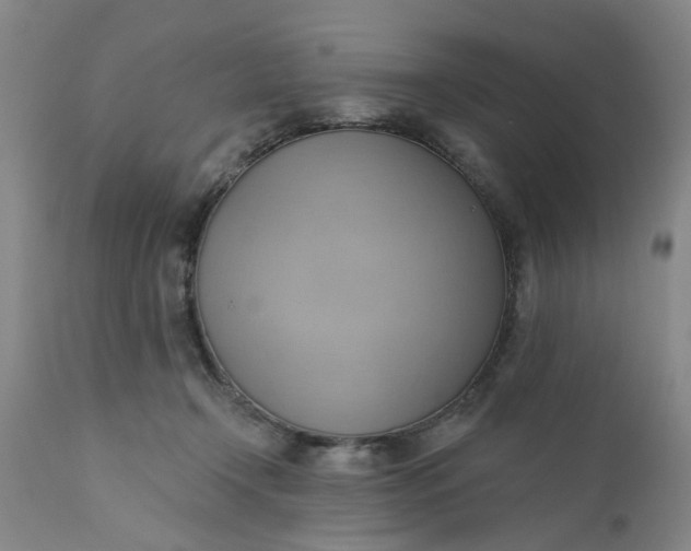 X0000110680366200906261326