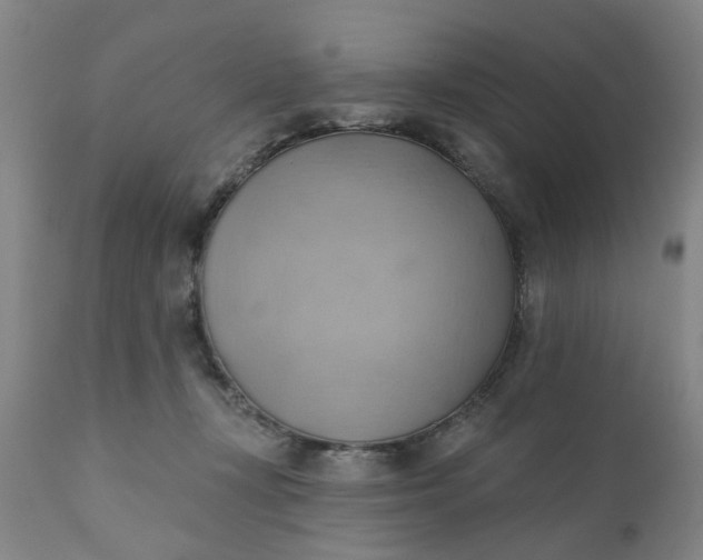 X0000110680367200906261326