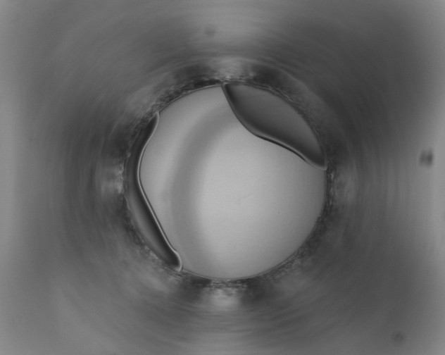 X0000110680368200906261326