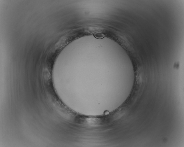 X0000110680371200906261326