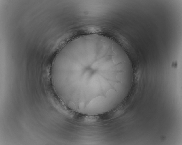 X0000110680373200906261326