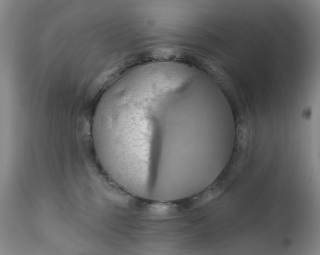 X0000110680375200906261326