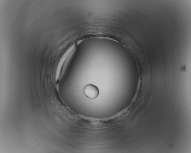 X0000110680376200906261326