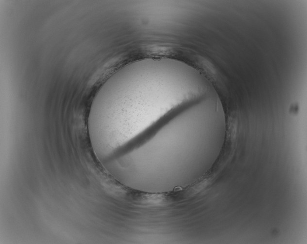 X0000110680377200906261326